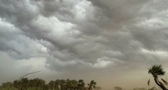 الأرصاد تصدر تنبيهات لـ 10 مناطق بالمملكة
