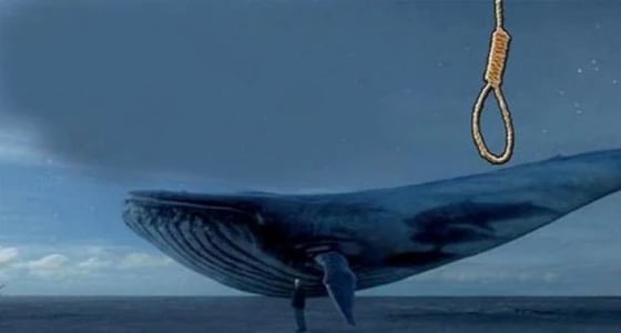 انتحار فتى مصري شنقًا لإرضاء " الحوت الأزرق "