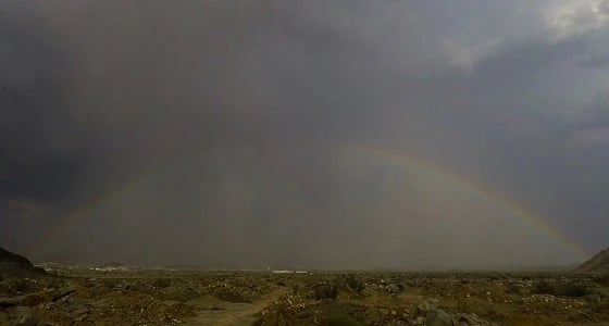 شاهد.. قوس قزح يتألق في سماء الشرائع