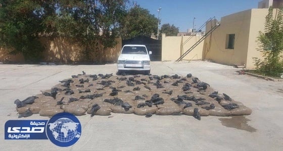 الجيش المصري يقبض على تكفيريين شديدي الخطورة بسيناء