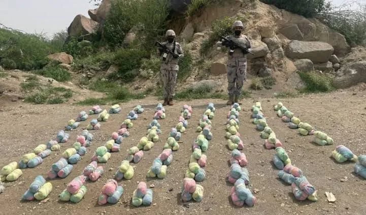 ضبط مخالِفَيْن لتهريبهما نبات القات المخدر بالعارضة