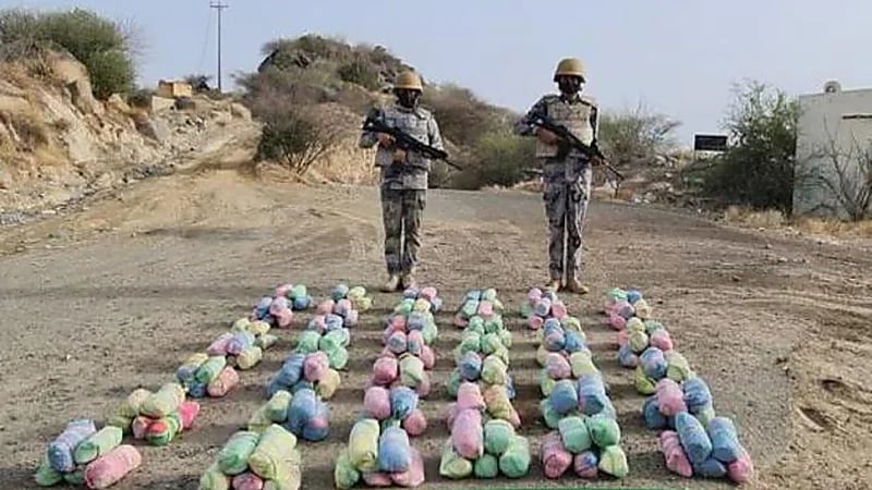 إحباط تهريب 58 كيلوجرامًا من نبات القات المخدر بجازان