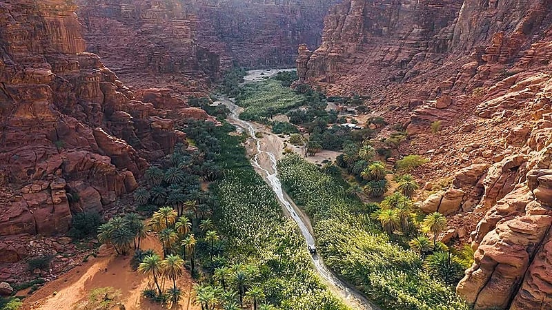 ضبط مواطن و3 مقيمين مخالفين لنظام البيئة