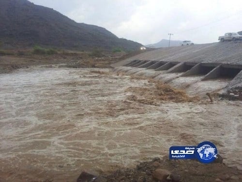 مجلس الوزراء المصري يحسم الجدل حول بيع الجنسية