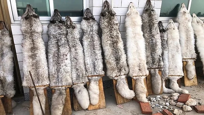 تحذير من كارثة جديدة قد تؤدي لإصابة الإنسان بموت مفاجئ