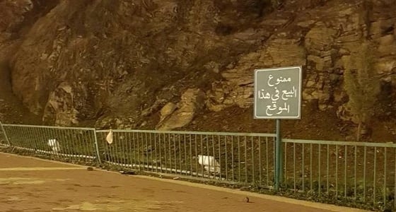 بالفيديو.. أمانة عسير تكشف تفاصيل حادث الانهيار الصخري بأبها وتحذر الاقتراب