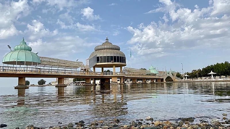 شاهد.. سبب تسمية محافظة ضباء بهذا الأسم