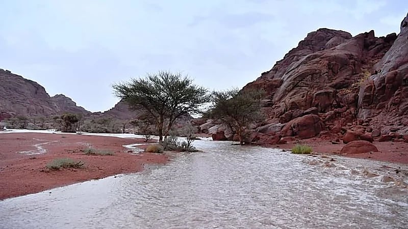 شاهد.. لحظة هطول أمطار غزيرة على حائل 