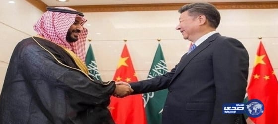 خارجية الهند تفضح فبركة قناة إيرانية حول زيارة ولي ولي العهد للصين