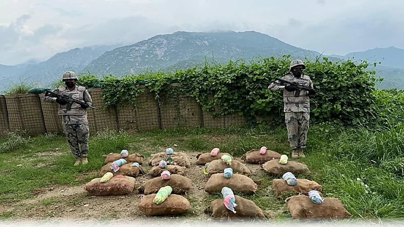 إحباط تهريب 298 كيلوجرام من القات بجازان