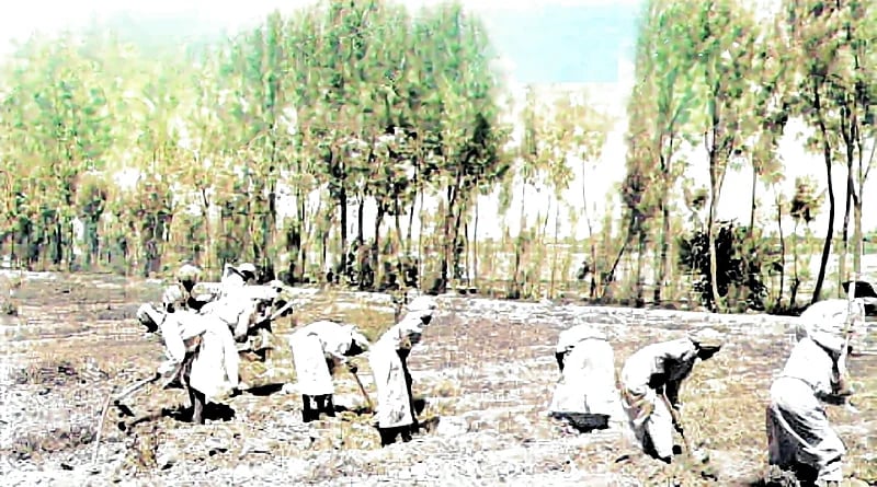 مجموعة من الرجال في المشروع الزراعي بالخرج قديما