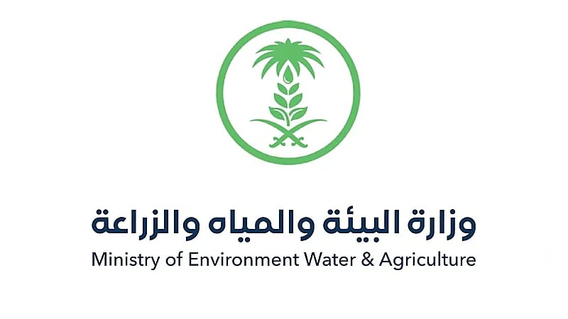 "البيئة" تكشف شروط وضوابط تصدير محاصيل الخضار المزروعة بمنطقة الدرع العربي