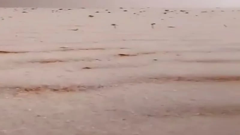 شاهد.. رمال الصحراء الحمراء تكتسي بالبياض بعد نزول حبات البرَد بسكاكا
