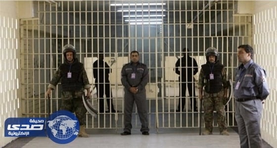 بالفيديو.. فتاة يمنية تبدع في العزف على العود