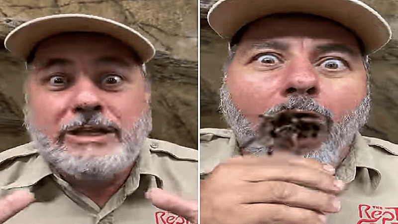 بالفيديو.. رجل يبتلع عنكبوت كبير