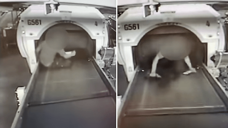 بالفيديو.. طفل يقفز فوق حزام نقل الحقائب بالمطار