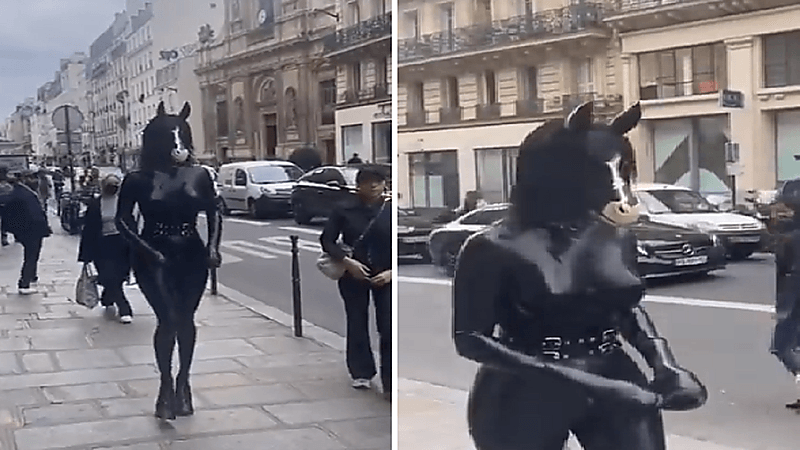 بالفيديو.. امرأة ترتدي ملابس على شكل مجسم حصان تثير جدلاً واسعاً