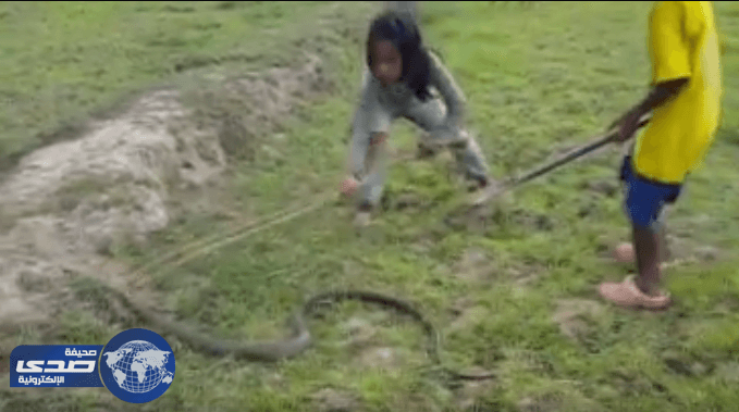 بالفيديو.. طفلان يصطادان أفاعي ضخمة بطريقة غريبة