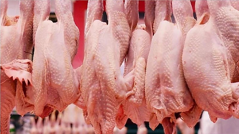 نصائح للحماية من الإصابة بالتسممات المنقولة باللحوم والدواجن