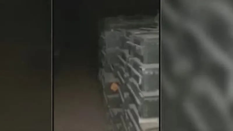 بالفيديو.. الجيش السوداني يسيطر على مخزن أسلحة تابع للدعم السريع