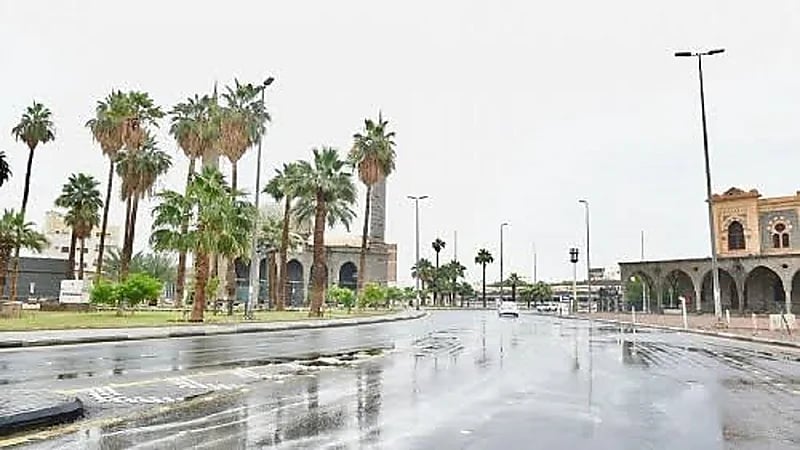 مناطق هطول الأمطار وحبات البرد خلال هذا الأسبوع  ..  فيديو