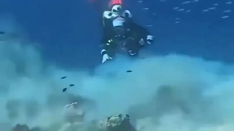 غواصون يتعرضون لزلزال في قاع البحر .. فيديو