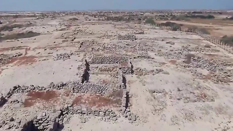 عالم اثار: الوجود البشري في جزيرة فرسان يعود الى مليون عام .. فيديو