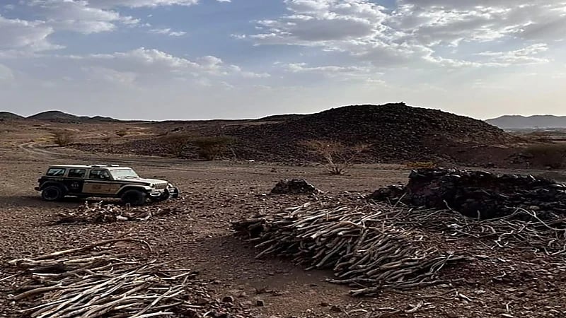 ضبط مخالف لتخزينه حطبًا محليًا في المدينة المنورة