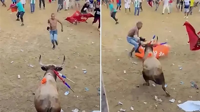 لحظة مقتل مصارع بقرن ثور أمام المتفرجين..فيديو