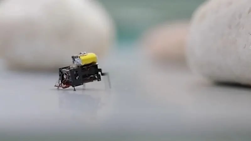 جامعة صينية تبتكر روبوتاً فائق الصغر على شكل صرصور .. فيديو