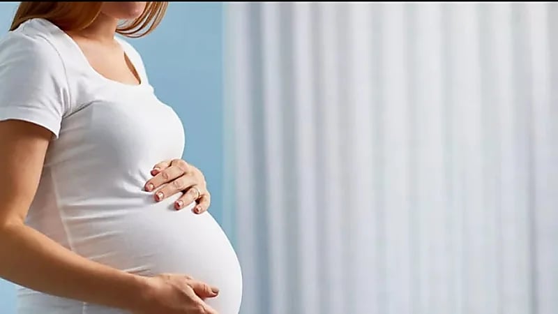 WhatsApp Image 2025-09-11 at 5.03.32 PM.jpeg