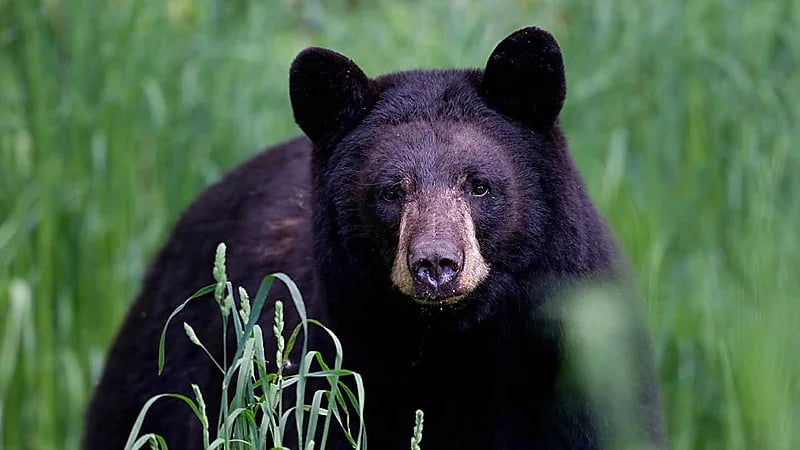 WhatsApp Image 2025-09-25 at 5.37.55 PM.jpeg