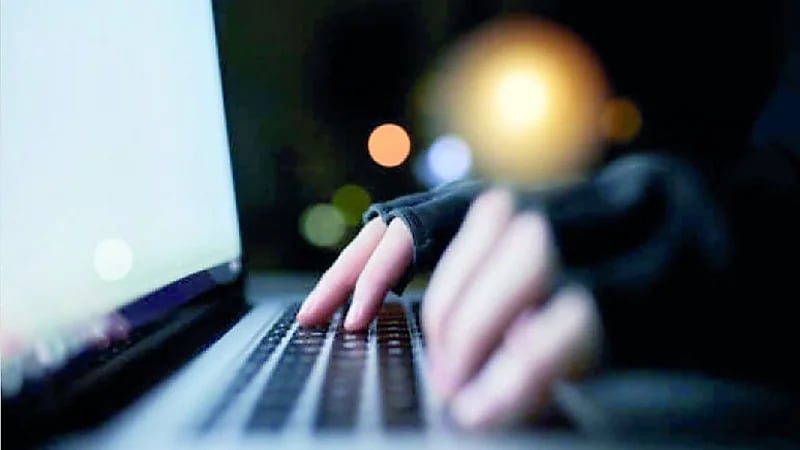 WhatsApp Image 2025-09-27 at 10.51.42 PM.jpeg