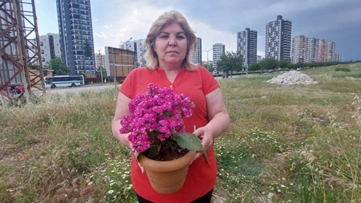 WhatsApp Image 2025-10-26 at 2.18.14 PM.jpeg