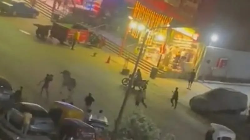 فيديو طريف لهروب عجل من أصحابه وسط المارة