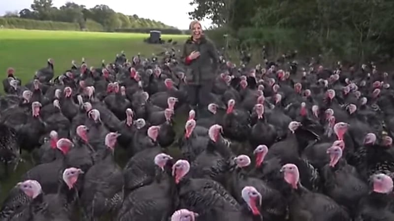 بالفيديو.. ديك رومي يتحرش بمراسلة تلفزيونية