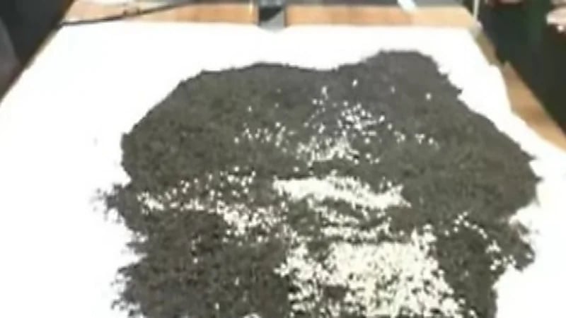 ضبط شحنة كبتاجون مخبأة بالشاي كانت متجهة إلى الخليج