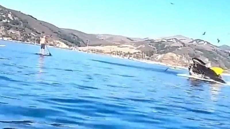 شاهد.. لحظة التهام حوت ضخم لقارب على متنه شخصين