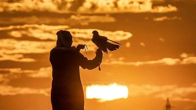 بالفيديو ..مواطن يكسر احتكار عمالقة المتسابقين الإماراتيين لأشواط الصيد بالصقور