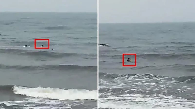 منقذ الطفل من الغرق في بيش: لطف الله سخرني لإنقاذه