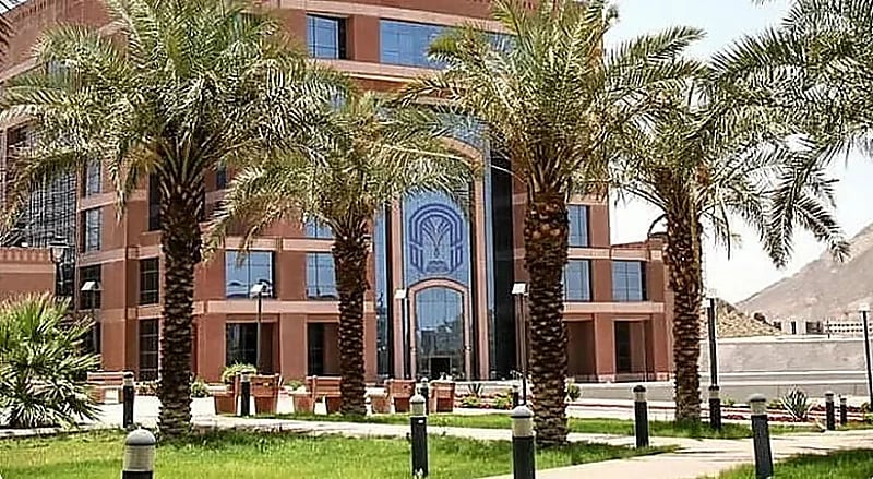 جامعة طيبة تفتح القبول في برنامج تجسير البكالوريوس في الصيدلة