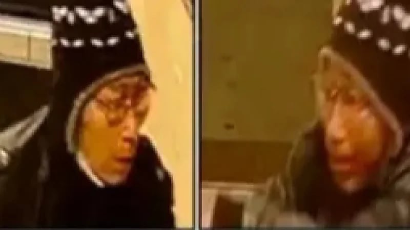 الكشف عن الآسيوي الذي قتل 10 أشخاص رمياً بالرصاص في أمريكا (فيديو)