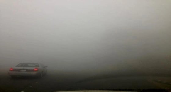 نصائح لضمان سلامة قائدي المركبات في الضباب