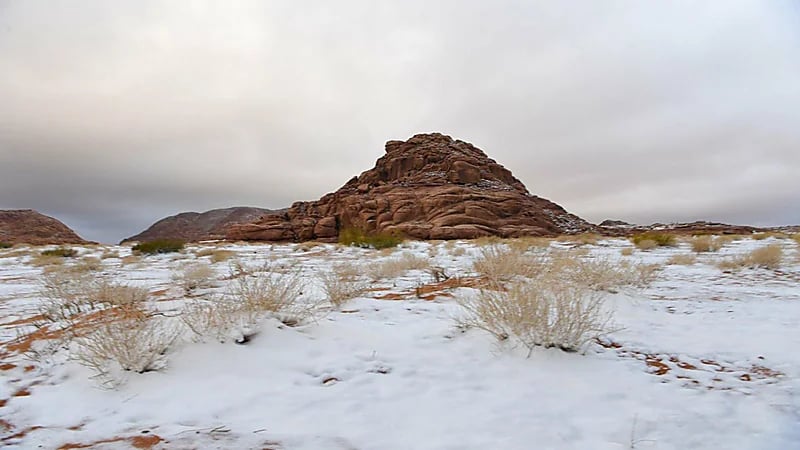 شاهد.. لحظة تساقط الثلوج على مرتفعات تبوك