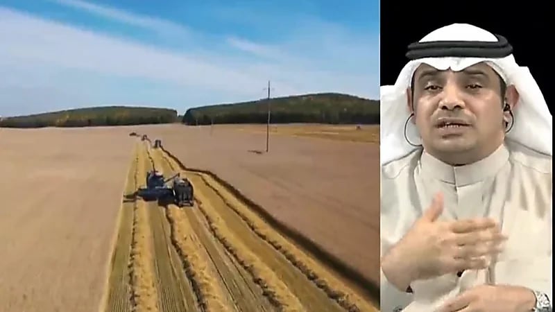 "مختص": مستويات القمح والذرة في المملكة عالية وآمنة