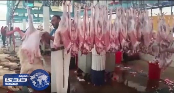 ذبح 4 آلاف رأس من الماشية بمسلخ أبها