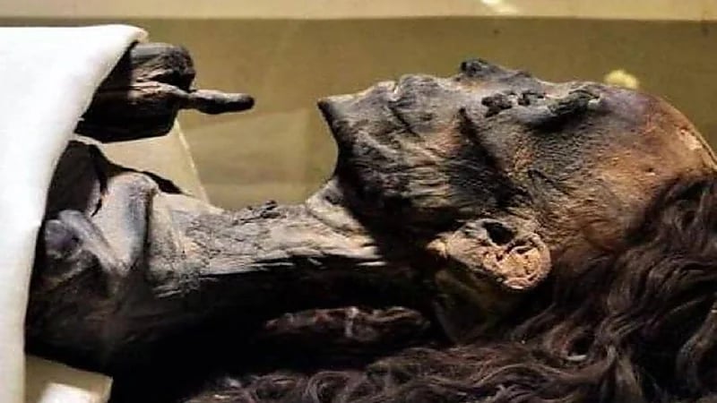 " زيت الخروع " من أسباب طول وكثافة شعر الملكة تي