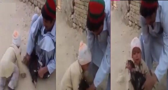 بالفيديو..طفل ينقذ " ديكًا " من الذبح