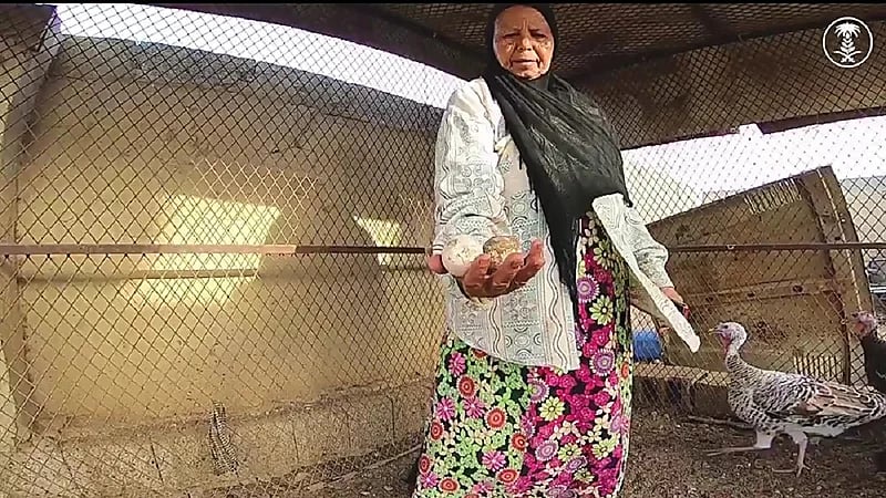 بالفيديو.. معلمة متقاعدة تتفرغ لإنتاج العسل وتربية المواشي والطيور