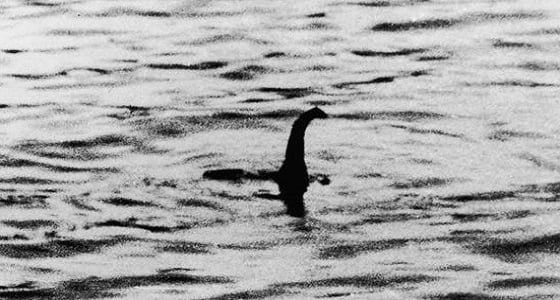 بالفيديو.. ظهور وحش بحيرة نيس في ألبانيا